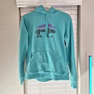 Patagonia Size M Pullover Hoodie